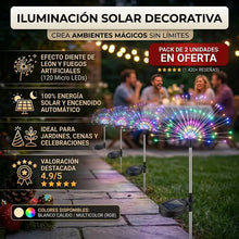 Caja de 2 Estacas Led Solares de Jardín