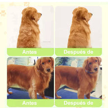 Cepillo de Vapor 3 en 1 para Mascotas