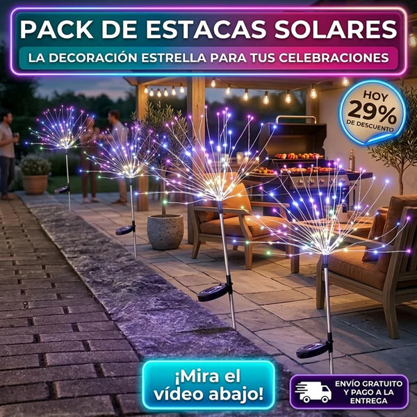 Caja de 2 Estacas Led Solares de Jardín