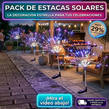 Caja de 2 Estacas Led Solares de Jardín