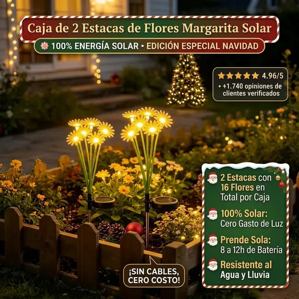 Caja de 2 Estacas de Flores Margarita Solar